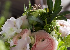 Honeymoonon the left bank